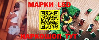 сатива Краснодар