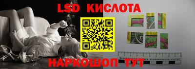 сатива Краснодар