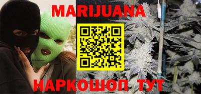 сатива Краснодар