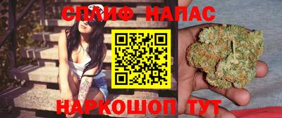 ГАЛЛЮЦИНОГЕННЫЕ ГРИБЫ Коммунар
