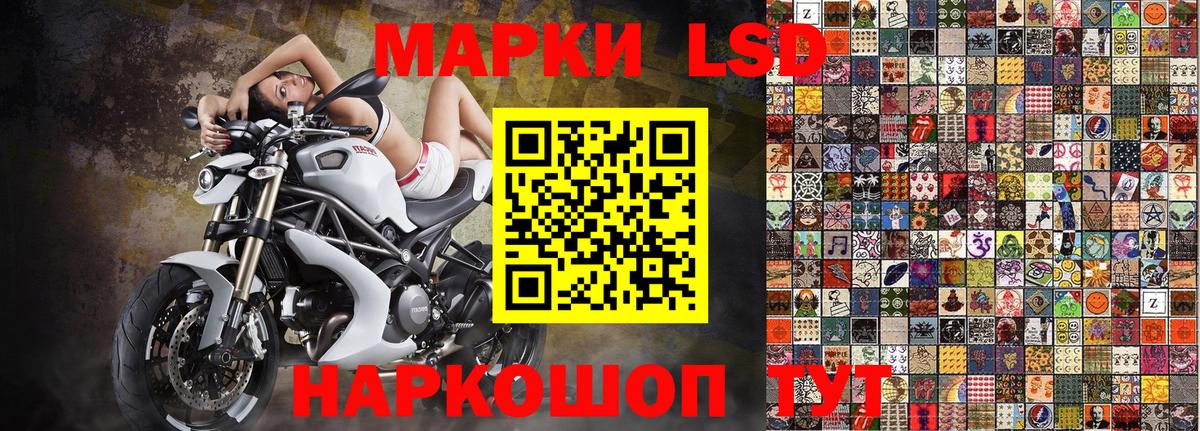 Наркотические марки 1,5мг  Вход с VPN  Наркотические марки  Камышлов  Наркотические марки 1,5мг 