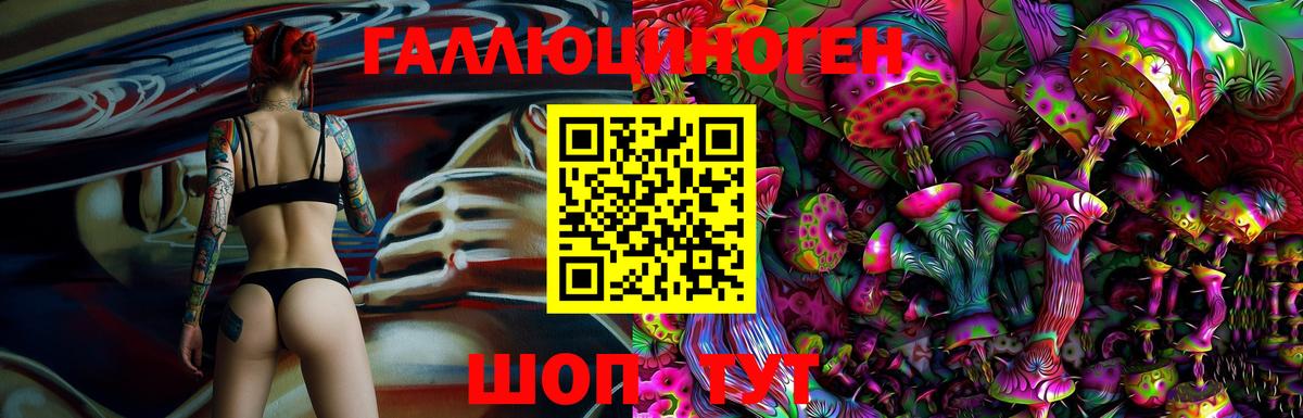 Псилоцибиновые грибы Magic Shrooms  Вход с VPN  Камышлов 
