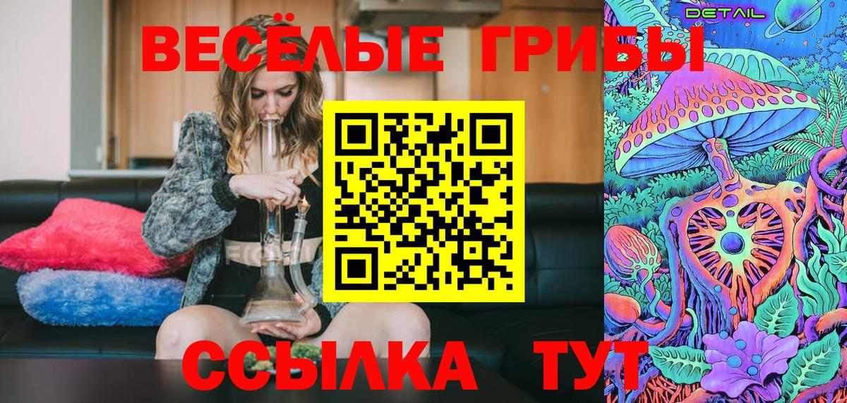 Галлюциногенные грибы MAGIC MUSHROOMS Камышлов